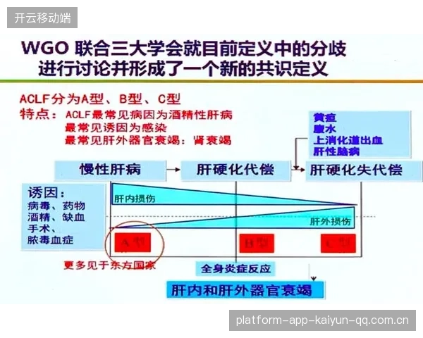欧冠VAR争议推动规则与判罚流程的持续优化 欧冠VAR争议推动规则与判罚流程的持续优化